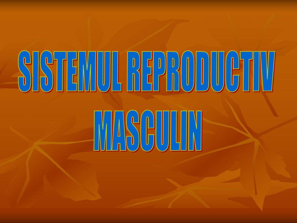 SISTEMUL REPRODUCTIV MASCULIN